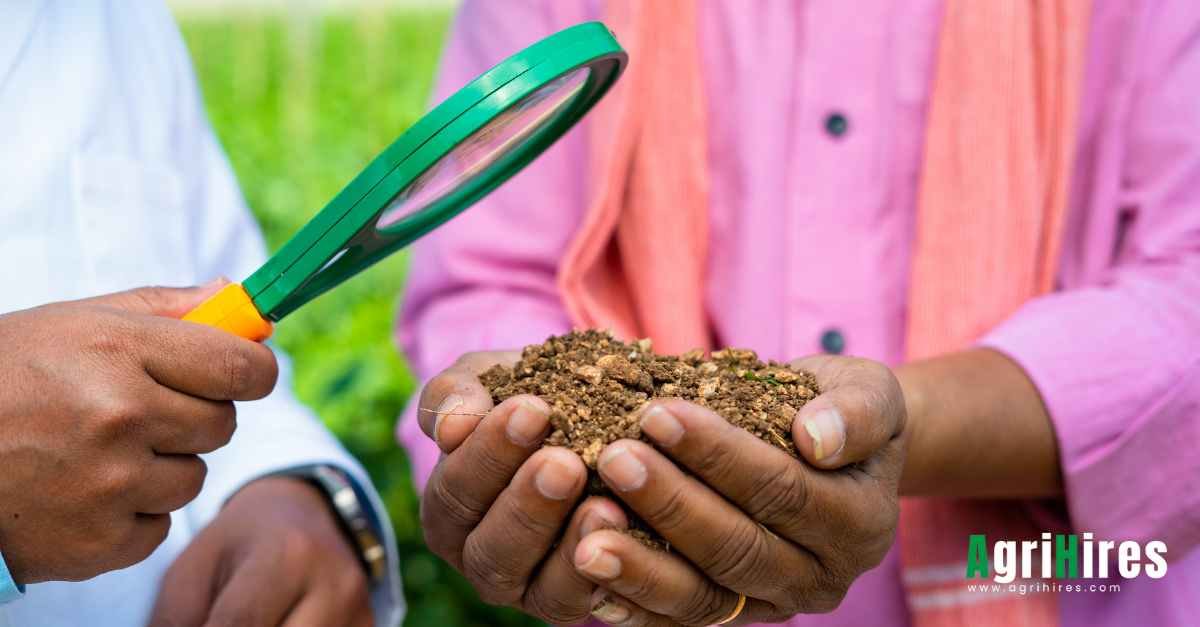 Soil Analysis thru a magnifier