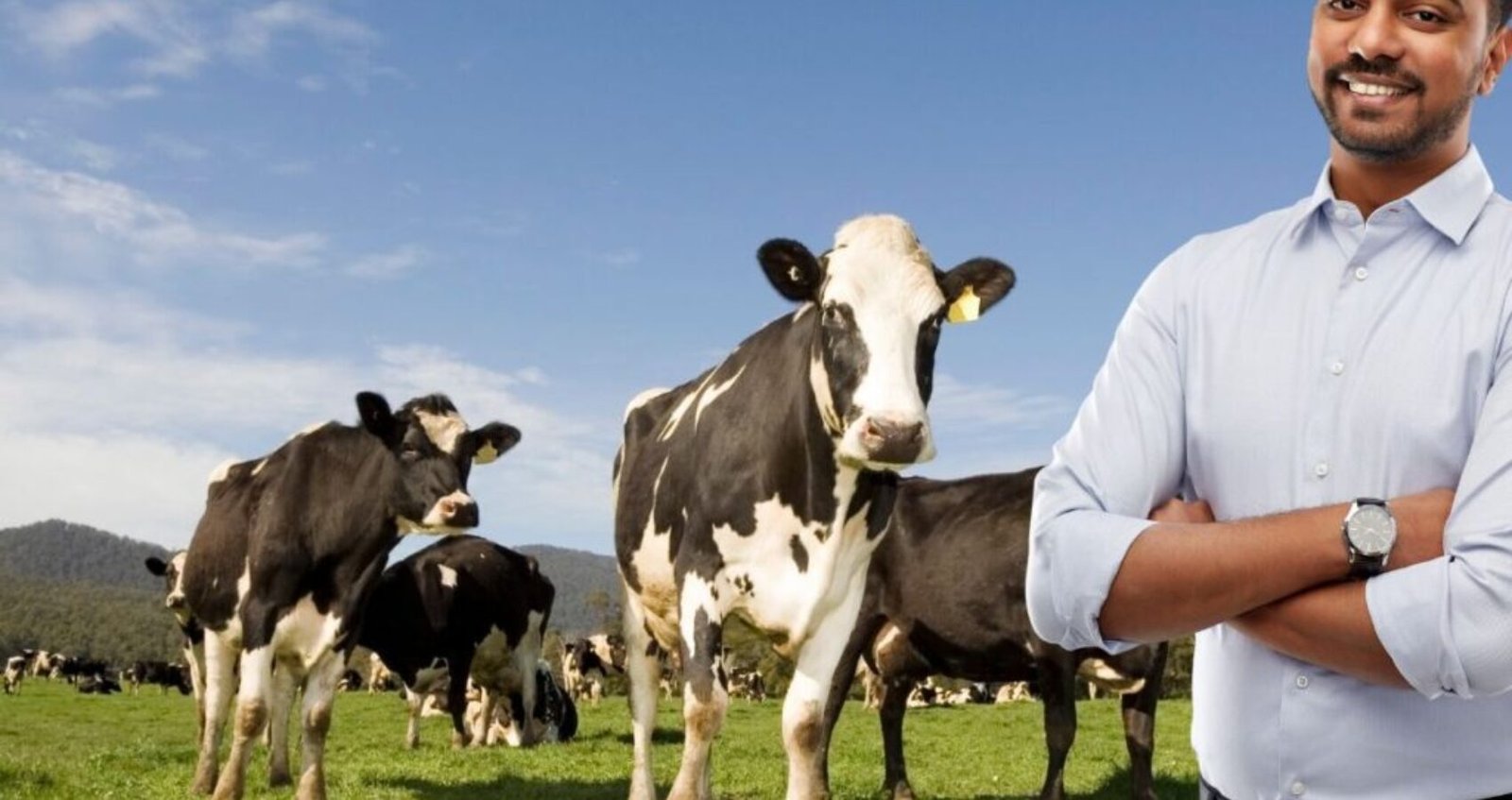 A dairy Professional