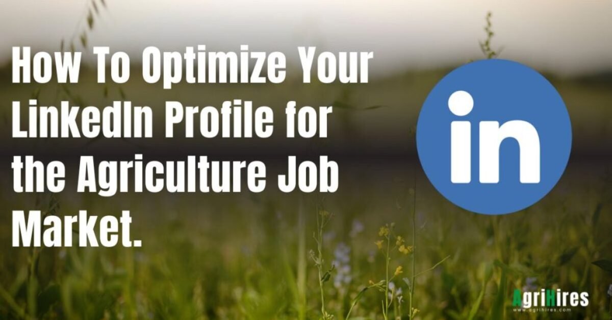 How to Optimize LinkedIn Profile for the Agri Job Market