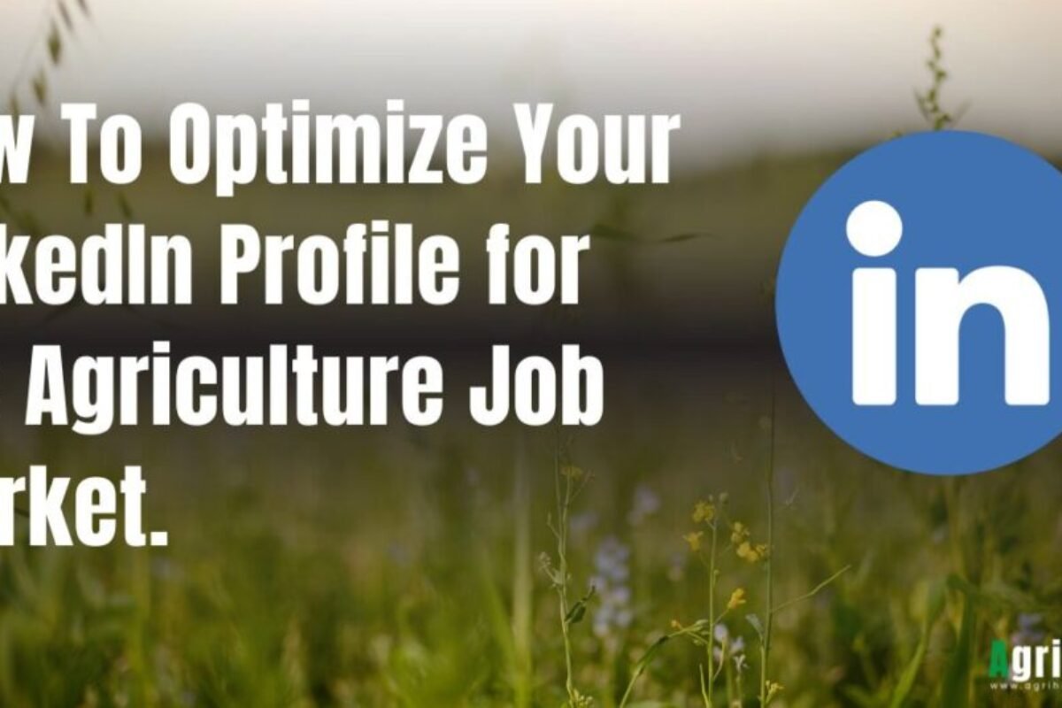 How to Optimize LinkedIn Profile for the Agri Job Market