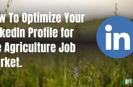 How to Optimize LinkedIn Profile for the Agri Job Market