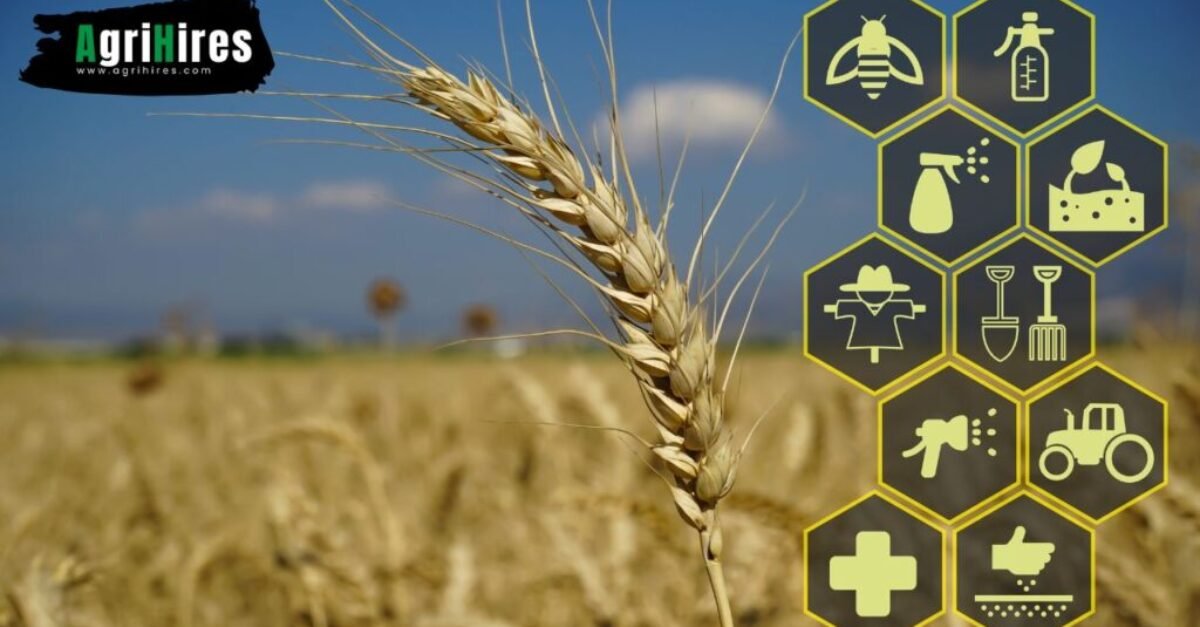 How Technology is Reshaping Agriculture and the Demand for Talent