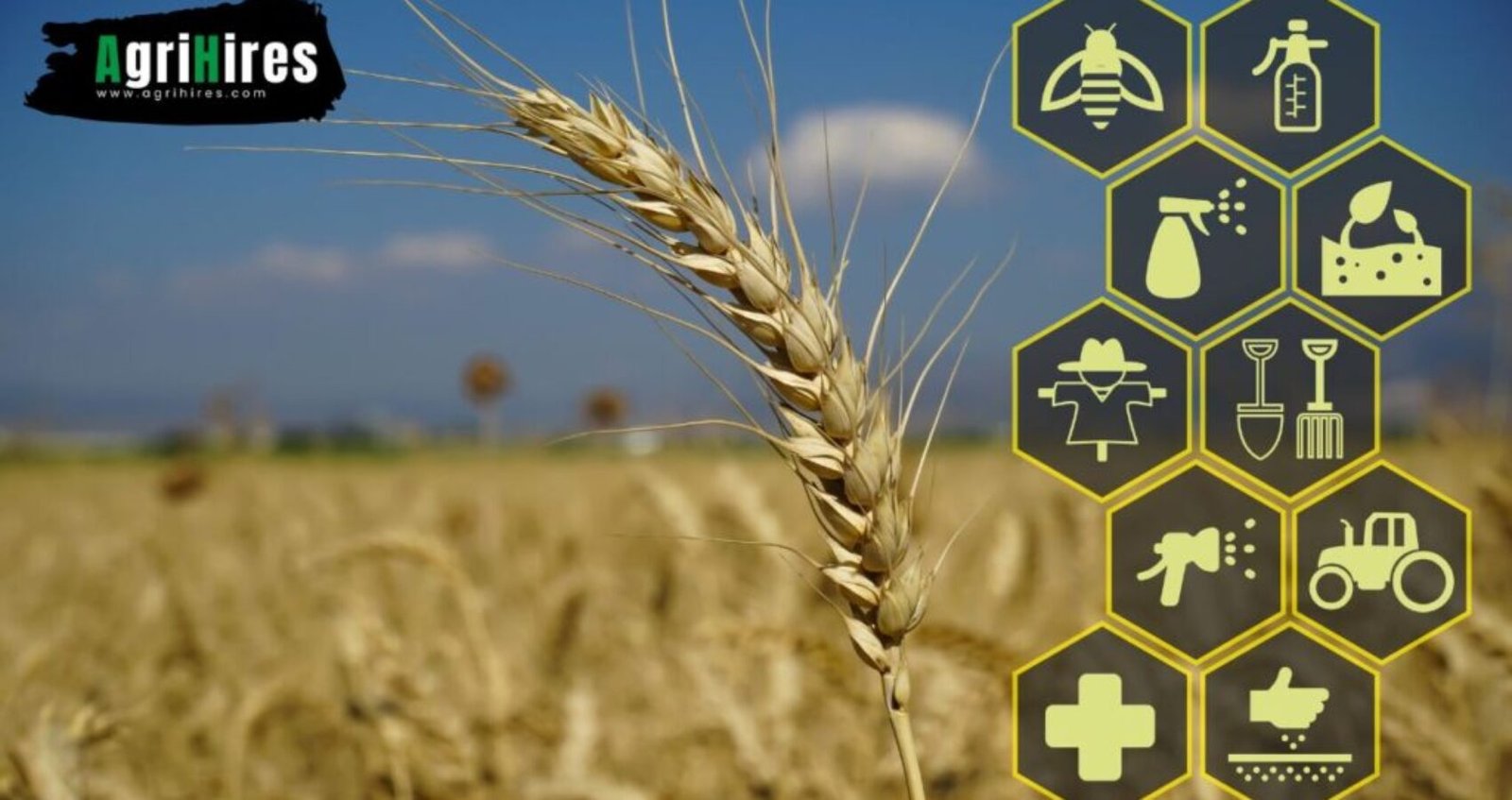 How Technology is Reshaping Agriculture and the Demand for Talent