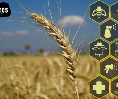 How Technology is Reshaping Agriculture and the Demand for Talent