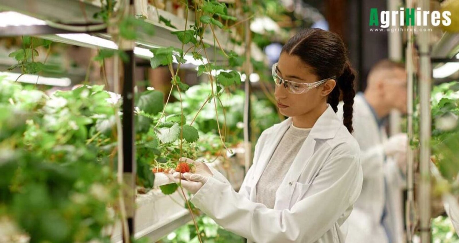 Exploring Dynamic Career Paths in Plant Science